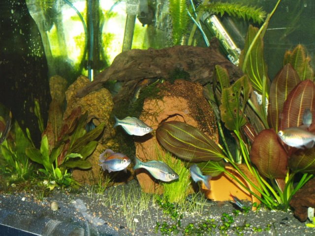 P1010528.jpg P1010528.jpg