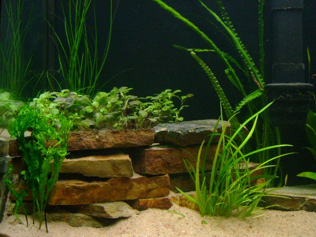 DSC00696.JPG DSC00696.JPG