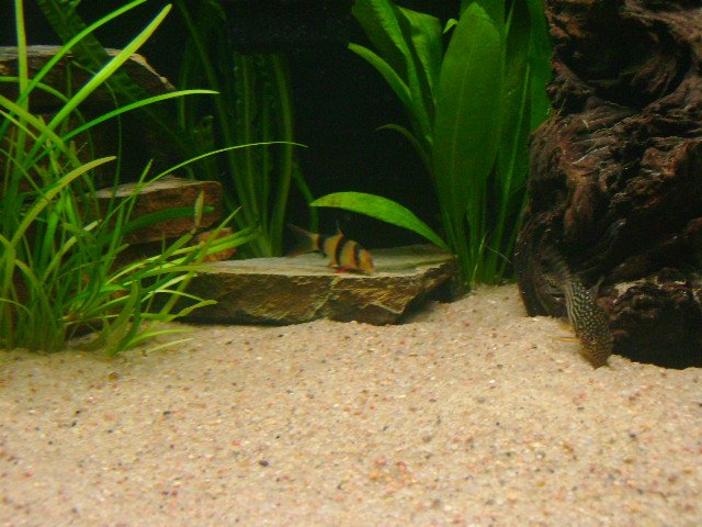 DSC00712.JPG DSC00712.JPG