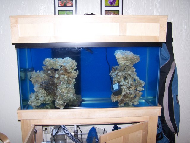 tank1.JPG