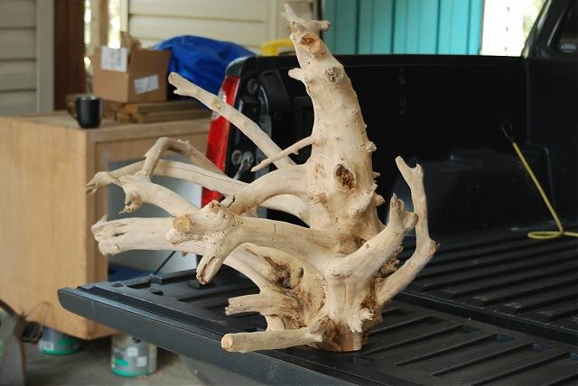 wood2.jpg