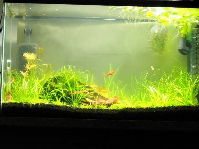 KICX2374.JPG KICX2374.JPG