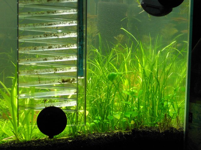 KICX2375.JPG KICX2375.JPG