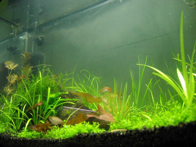 KICX2376.JPG KICX2376.JPG