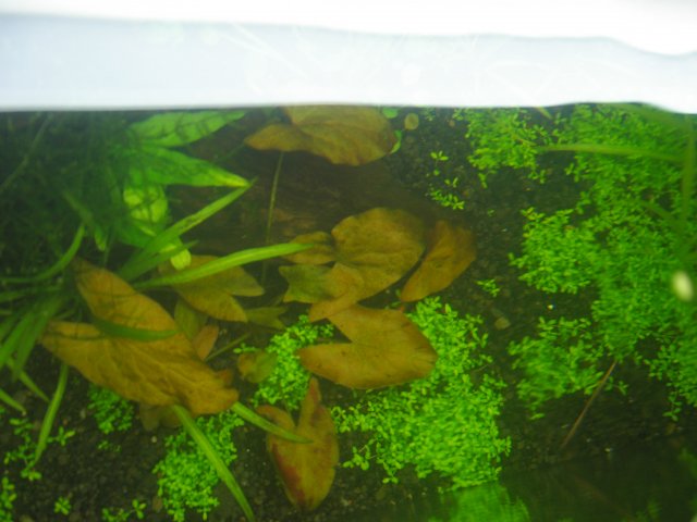 KICX2378.JPG KICX2378.JPG