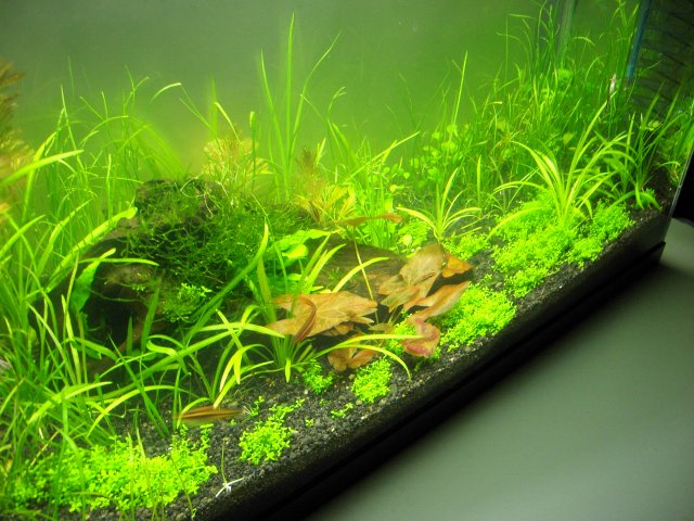 KICX2379.JPG KICX2379.JPG