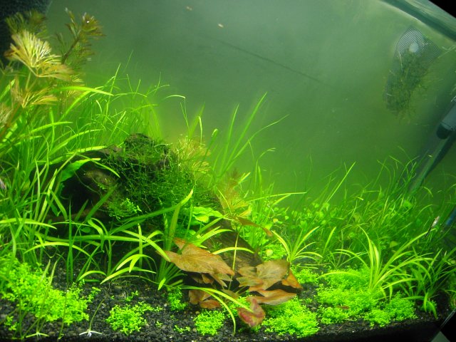 KICX2380.JPG KICX2380.JPG