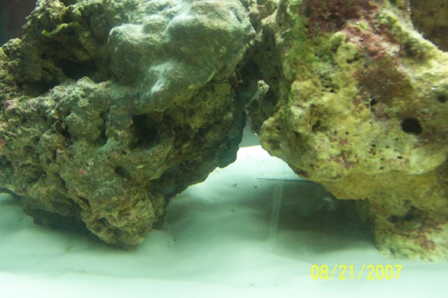 Tonga 014.JPG