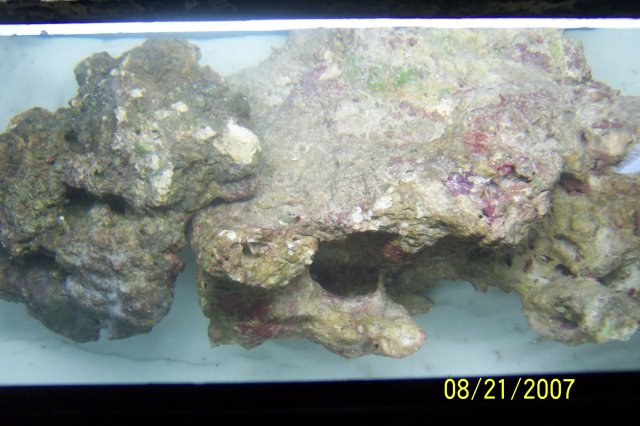 Tonga 016.JPG