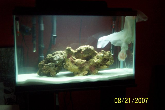 Tonga 020.JPG