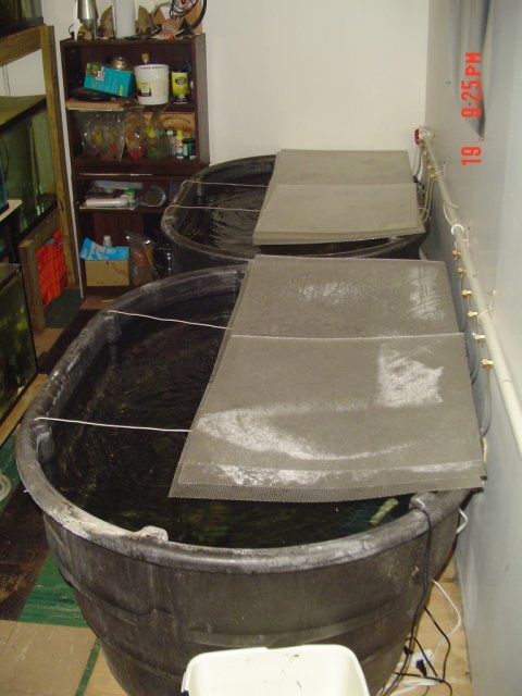 DSC01674-1.jpg