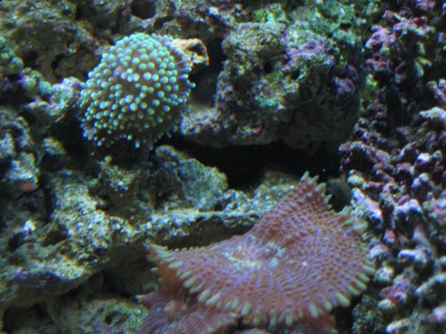 IMG_1173.JPG