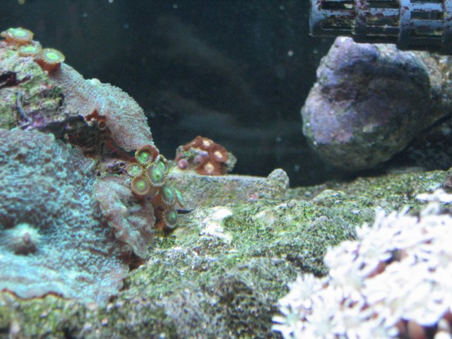IMG_1180.JPG