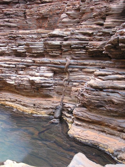 Camouflage.jpg