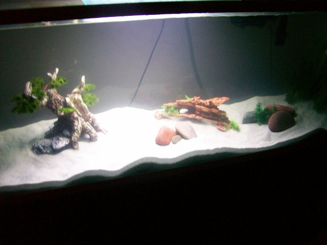 150gal before....jpg
