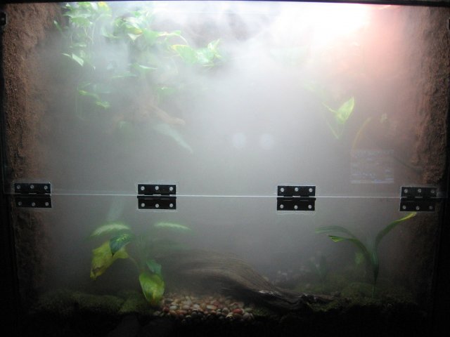 IMG_6130.JPG IMG_6130.JPG