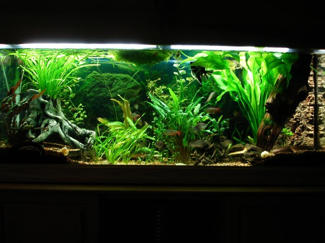 DSC03558.JPG