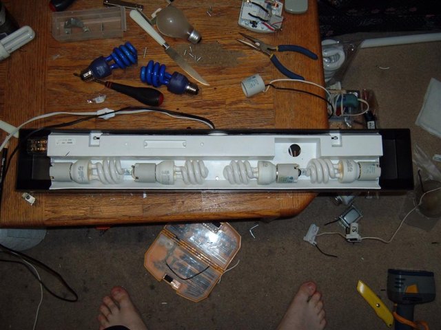 DSCF2714.JPG DSCF2714.JPG