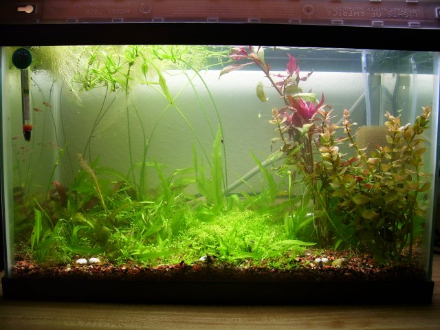 100_0788.JPG