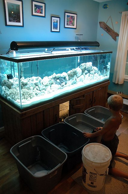 water-change-003.jpg