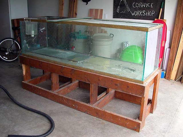 tankbefore.jpg