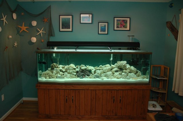 aquarium.jpg