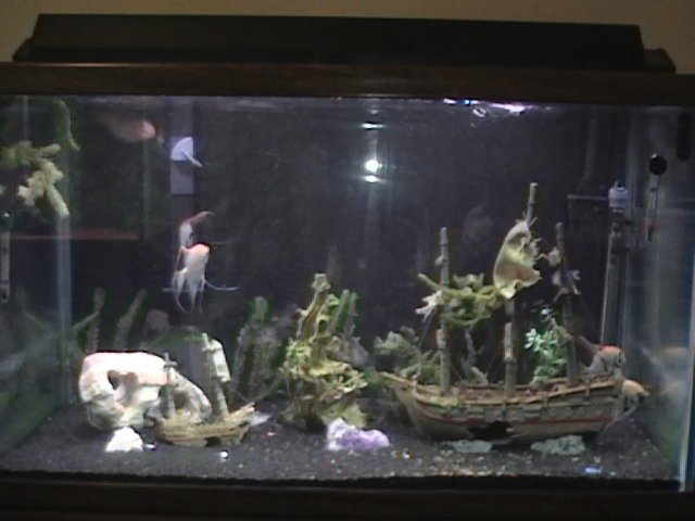 DVC00370.JPG