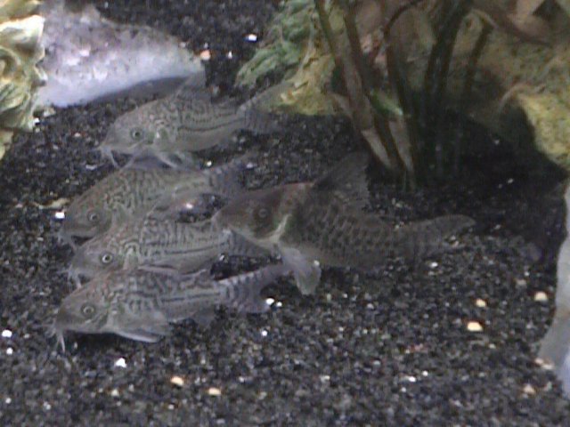 DVC00401.JPG