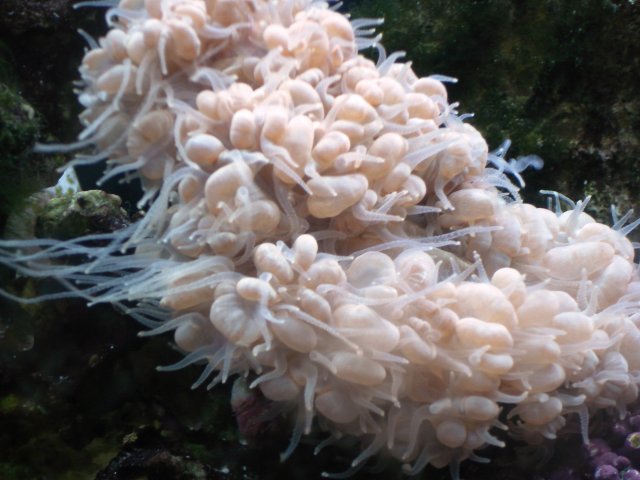 DSC04908.JPG