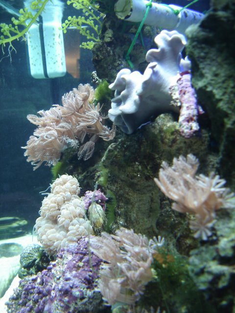 DSC04916.JPG