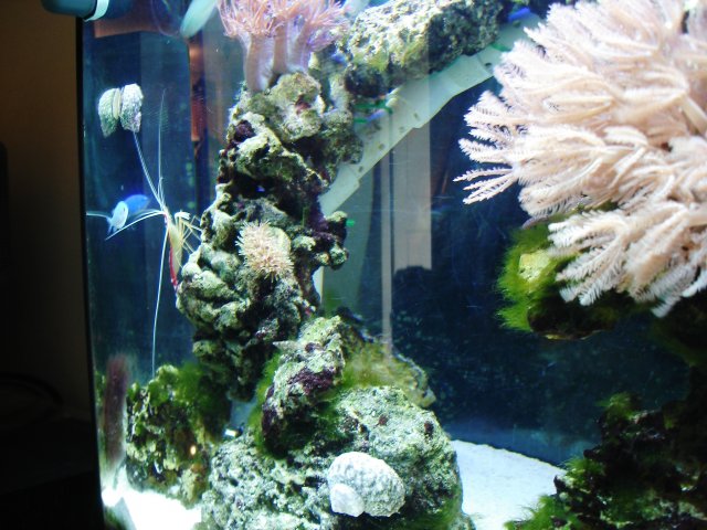 DSC04900.JPG