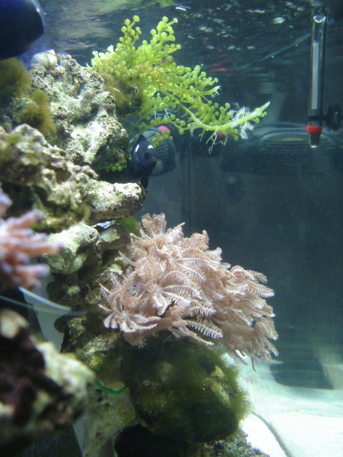 DSC04917.JPG