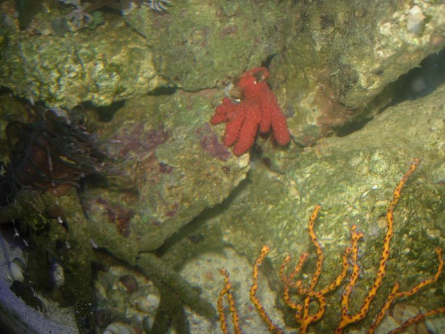 DSCN6982.JPG