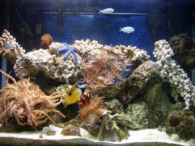 DSCN6232.JPG
