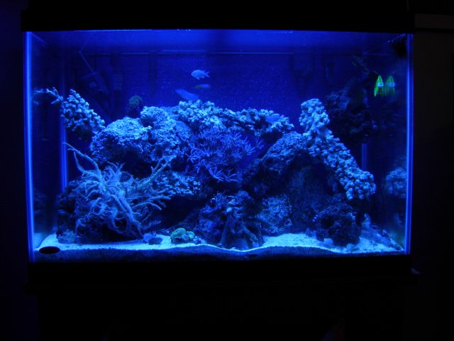 DSCN6209.JPG