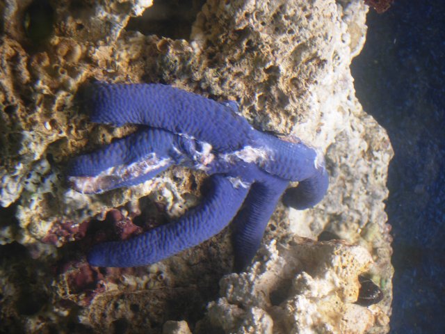DSCN6344.JPG