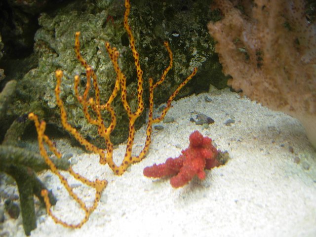 DSCN6956.JPG