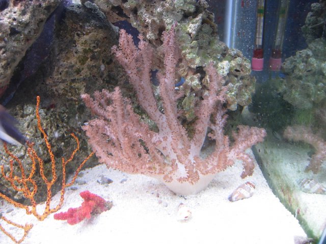 DSCN6963.JPG