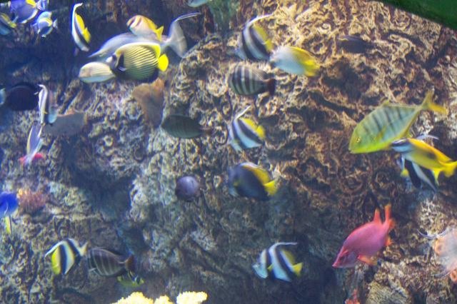 102_4803.JPG
