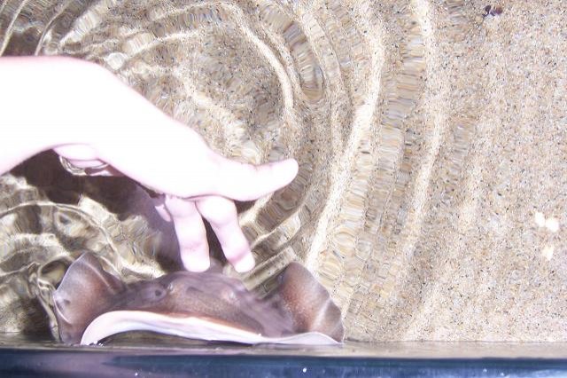 102_4813.JPG