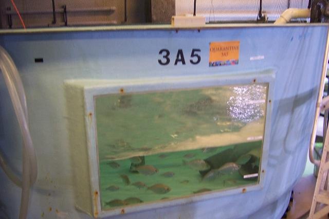 29.JPG