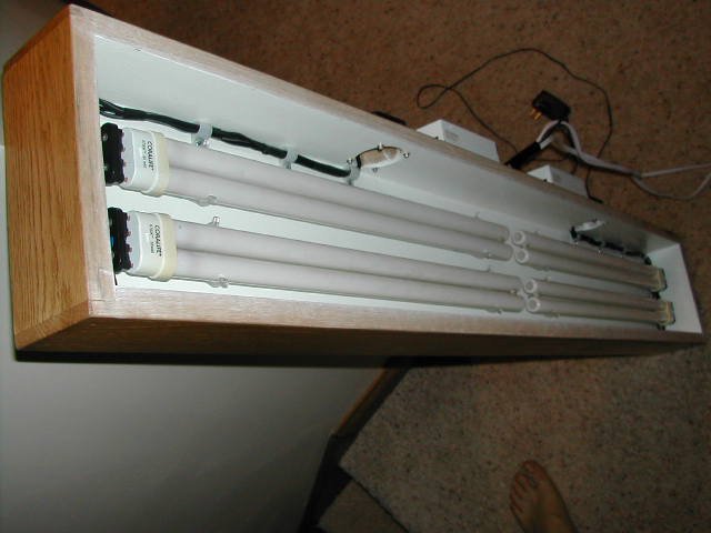 DSCN4038.JPG