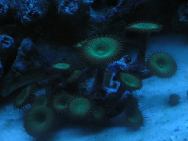 IMG_1204.JPG