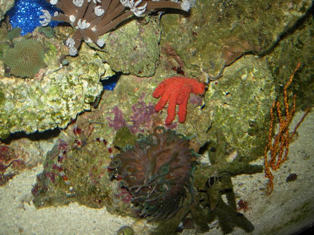 DSCN6996.JPG