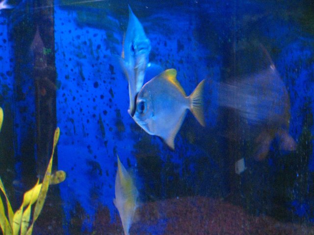 IMG_1990.JPG