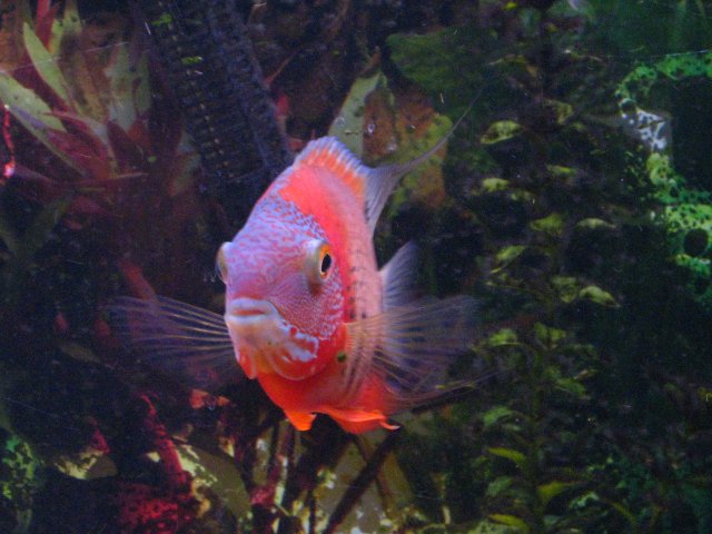 IMG_2021.JPG