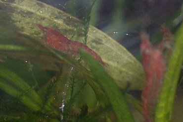 000_4808.JPG