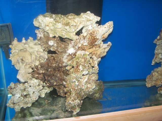 lft front rock.JPG