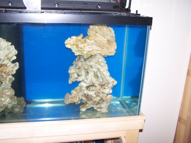 righ front rock.JPG