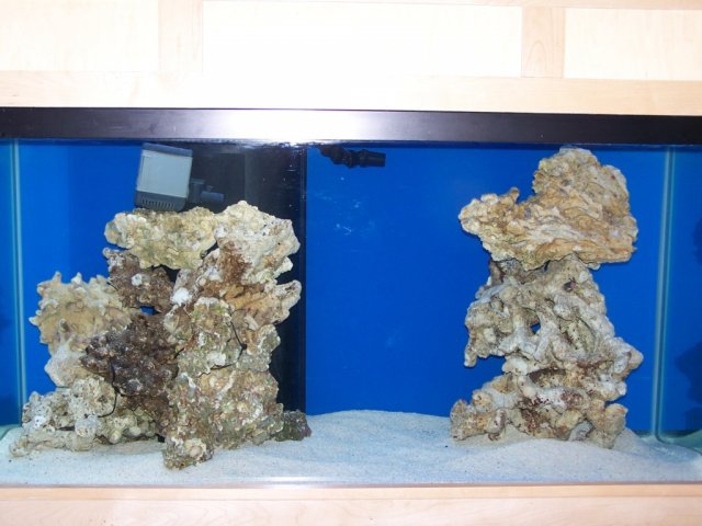 front tank rocksand.JPG